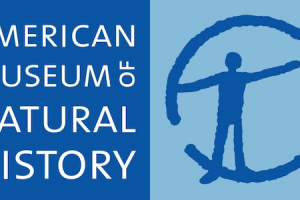 AMNH_logo copy