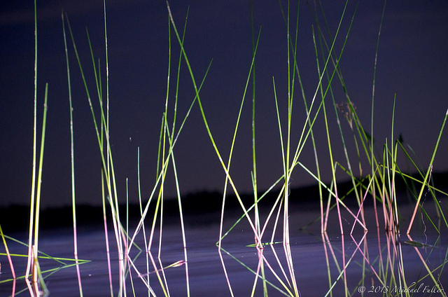 A spooky mist hovered over the still water that night