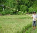 living scarecrow in a rice field