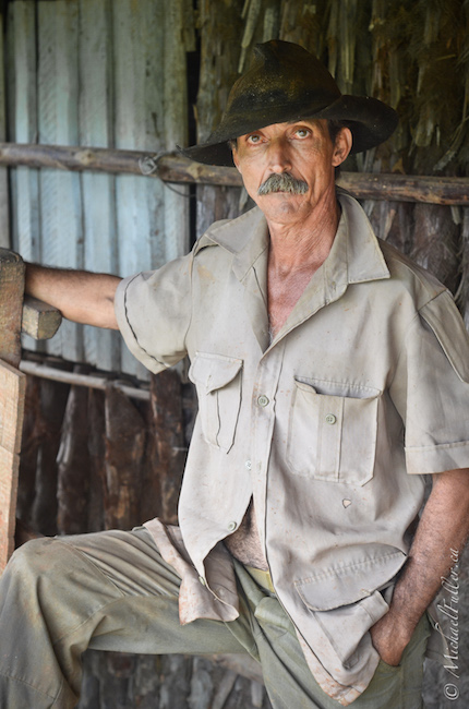 Peppicio the Tobacco farmer